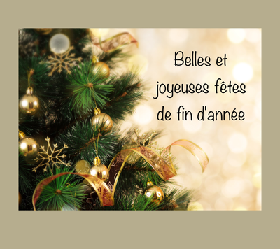 Nous vous souhaitons à tous de Joyeuses Fêtes de fin d'année🎄 😇